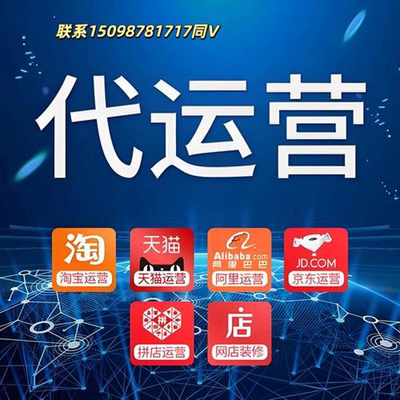 上海电商公司的崛起与挑战